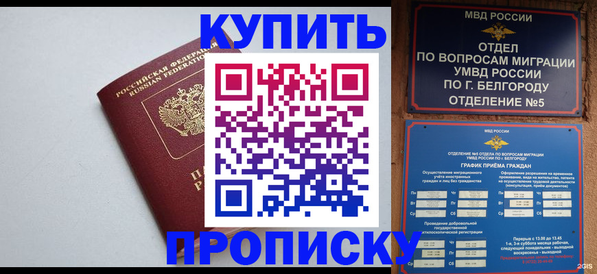 прописка регистрация в Кандалакше